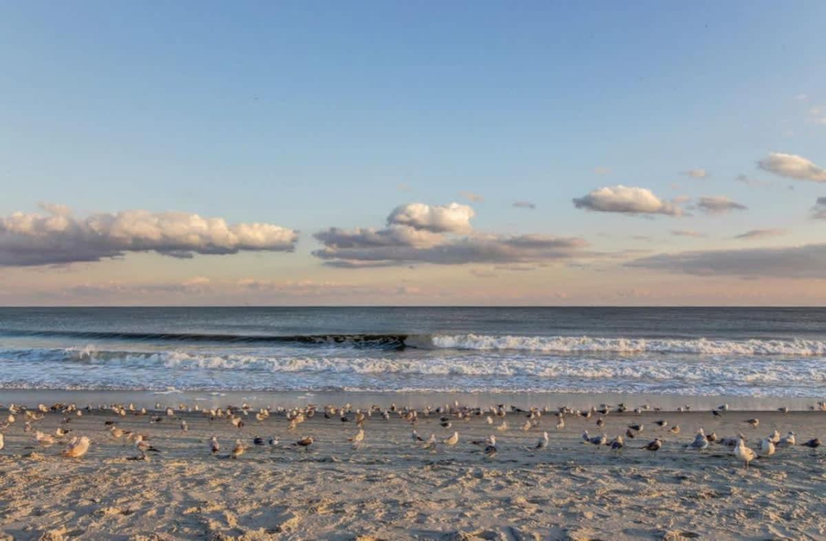 *Beach, Comfy, Sunny* *Great Pools, Hot Tubs, Lazy Rive & More*S44 Myrtle Beach Exterior foto